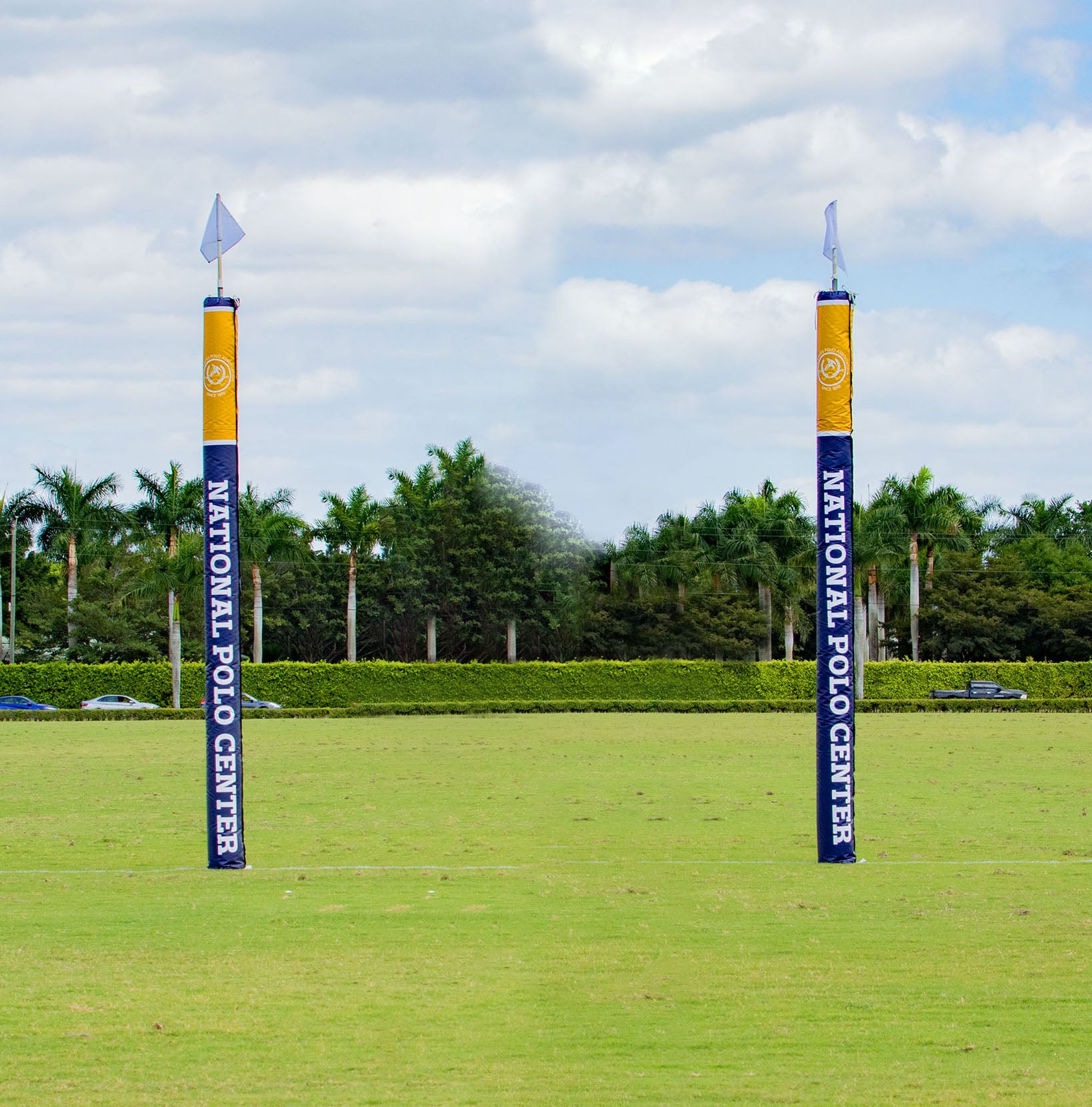 Goal Posts