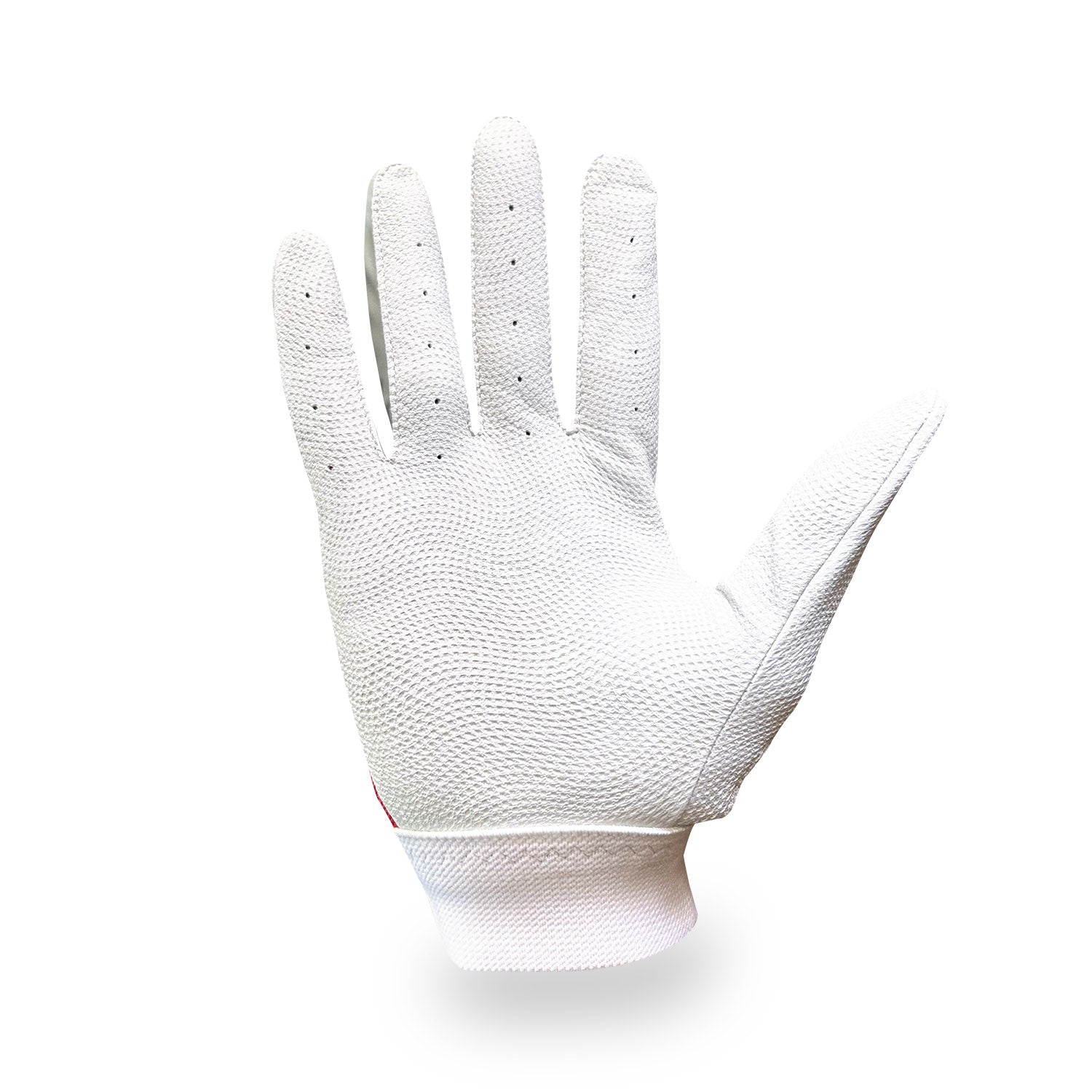 Polo Glove-Millarville-Right H - LARGE