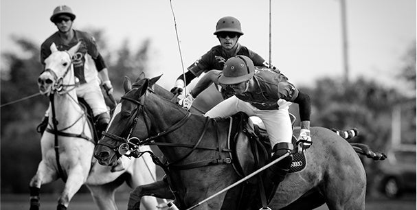 Polo players on horses