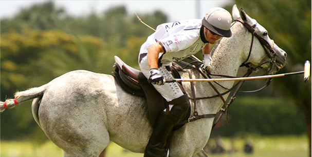 player on a horse polo